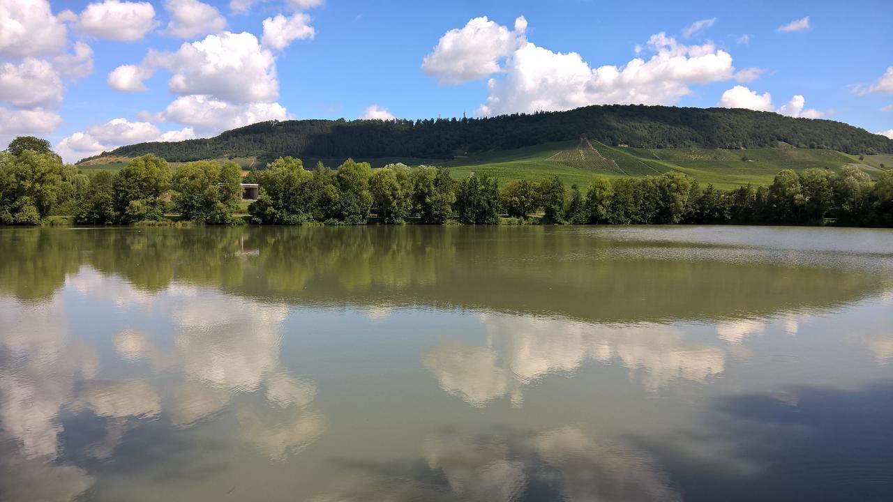 Das Kleine Hotel Iphofen, Fruehstueckszauber, No Waste, Nachhaltig, Nahe Aller Weingueter, Knauf Gips Kg Und Connekt, Kleines Secret Mit Garten & Terrassen, Tv Mirrorring, 55" Tv, Fine Dining, Hunde Willkommen エクステリア 写真