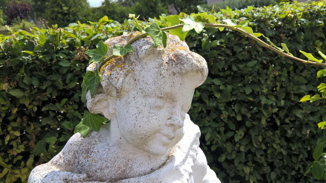 Das Kleine Hotel Iphofen, Fruehstueckszauber, No Waste, Nachhaltig, Nahe Aller Weingueter, Knauf Gips Kg Und Connekt, Kleines Secret Mit Garten & Terrassen, Tv Mirrorring, 55" Tv, Fine Dining, Hunde Willkommen エクステリア 写真